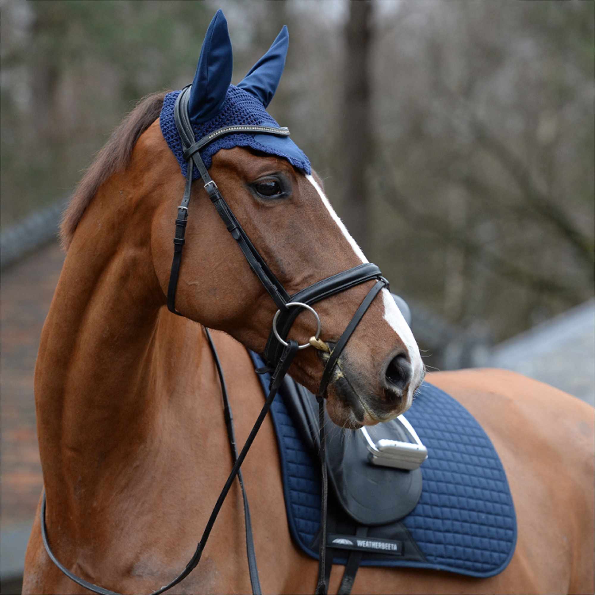 Weatherbeeta Prime Ear Bonnet 1000071 - Navy